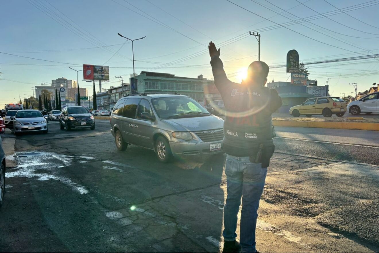 SAT: cuándo aplican descuentos de hasta 100% en multas y quiénes...