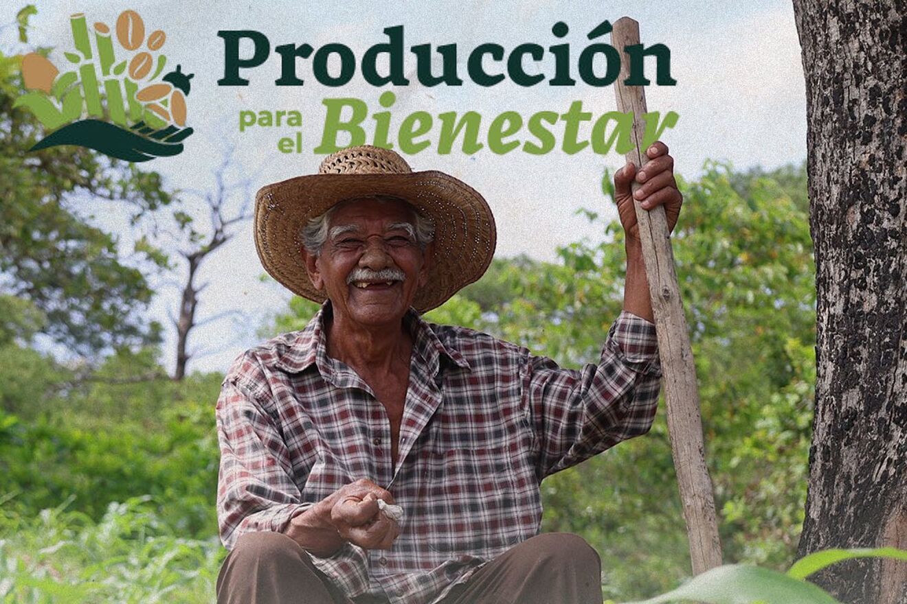 �Cu�nto paga Producci�n para el Bienestar en 2026? Montos de apoyo...