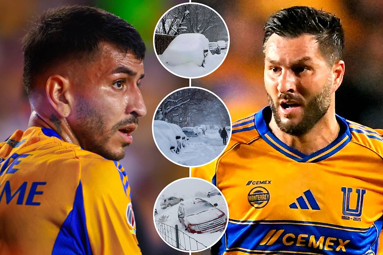 Ángel Correo / André-Pierre Gignac |