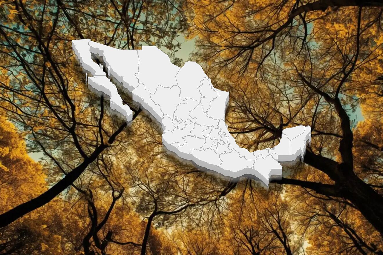 �Cu�ndo es el Equinoccio de Oto�o 2025? Esta es la fecha de inicio...