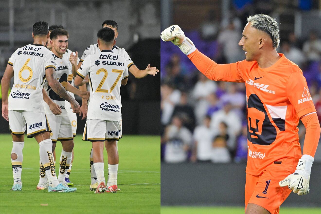 Pumas