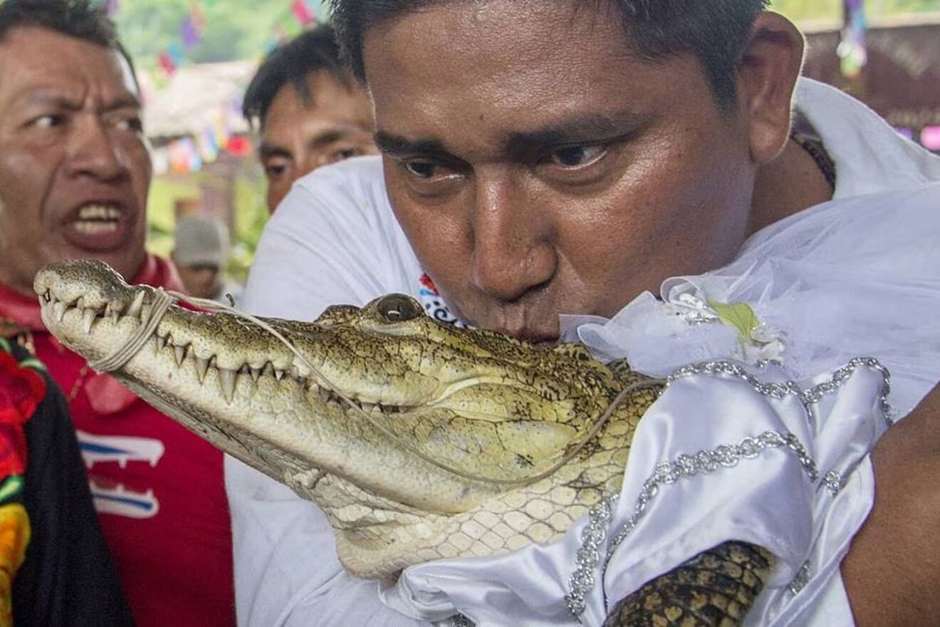 El ritual se cumple anualmente desde hace m�s de 230 a�os.