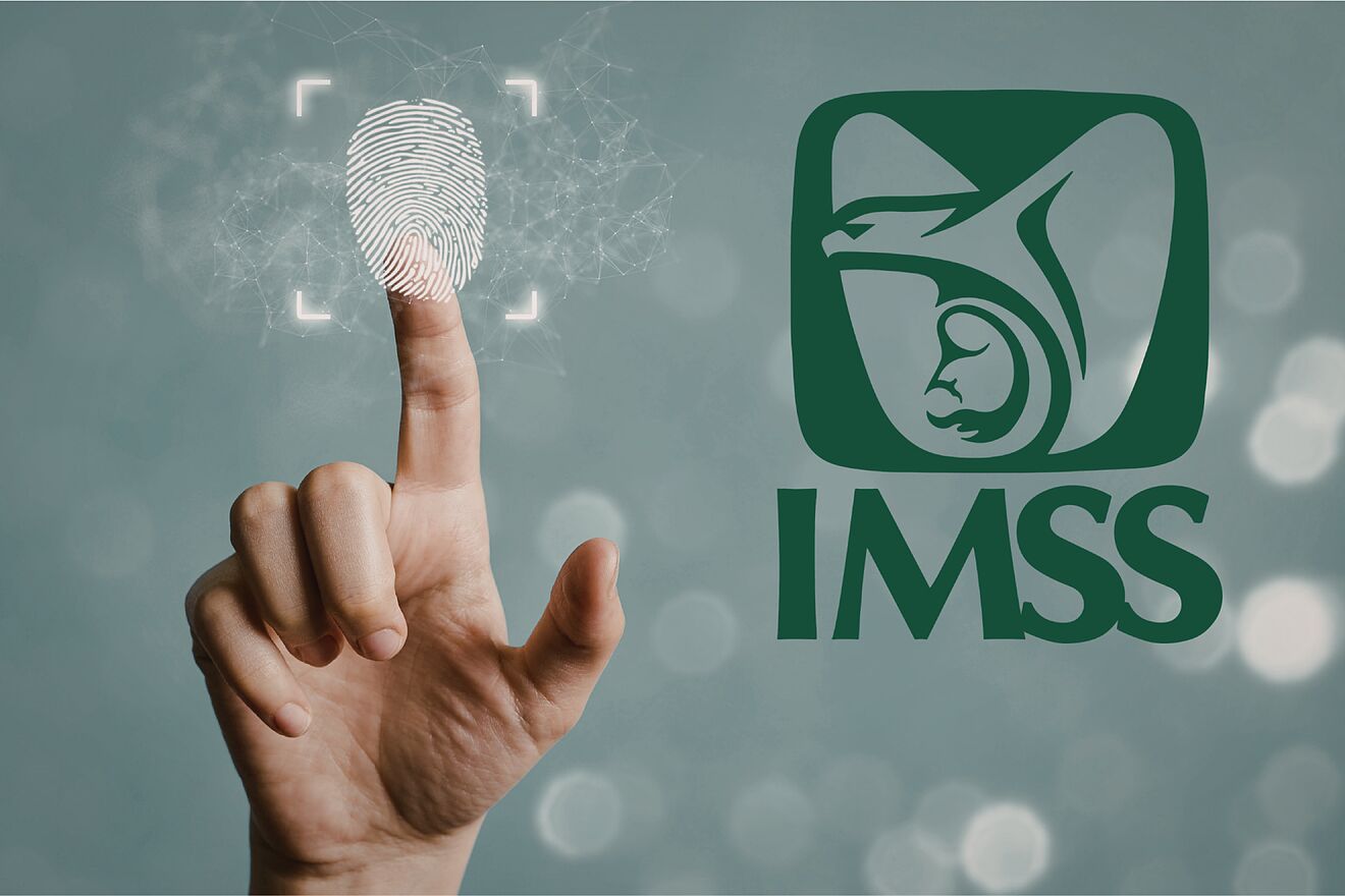 �Te pueden suspender la pensi�n? IMSS aclara requisito de datos...