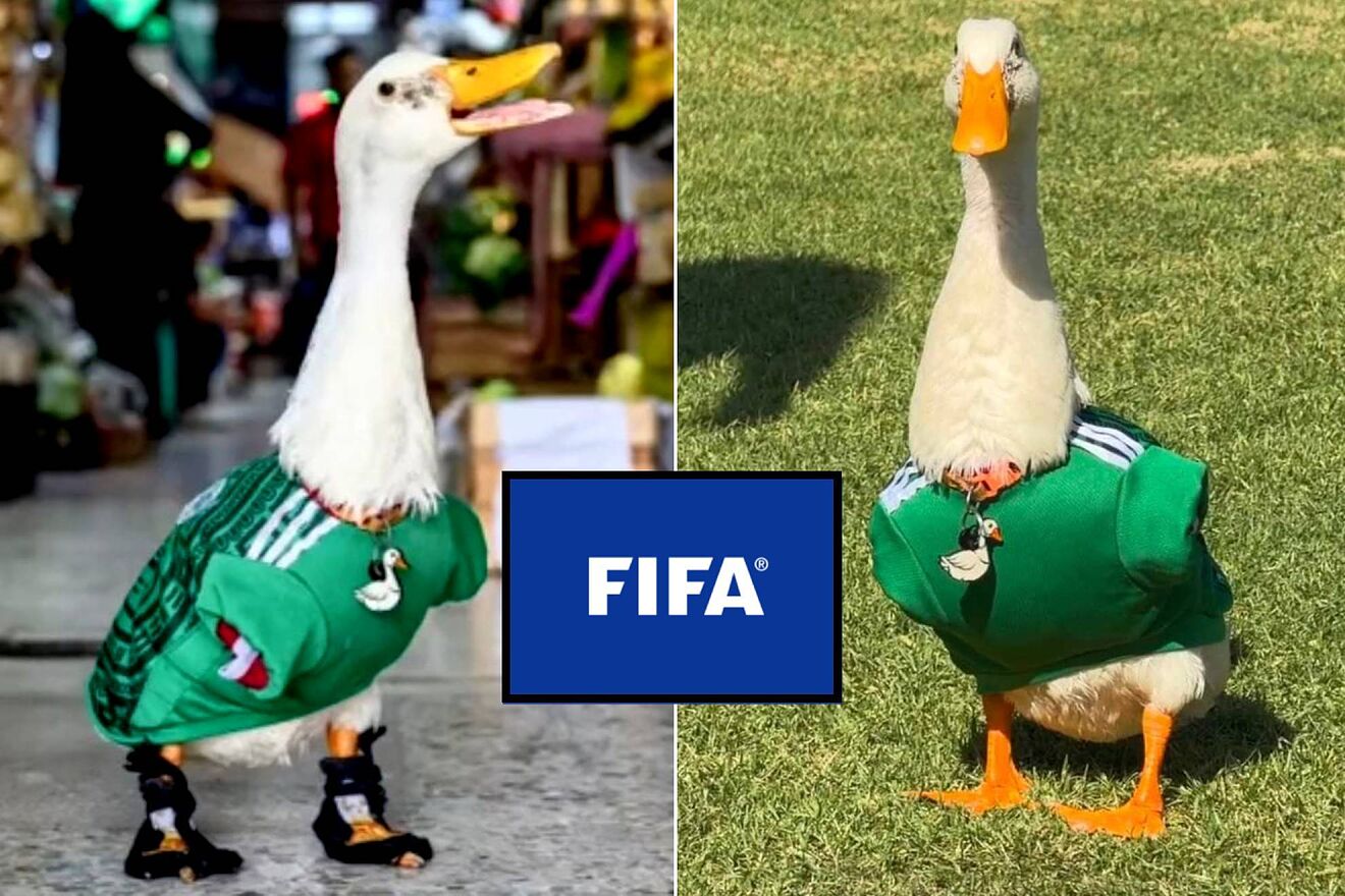 El Pato Merlín tiene cita con FIFA: La mascota del Mundial 2026 toma