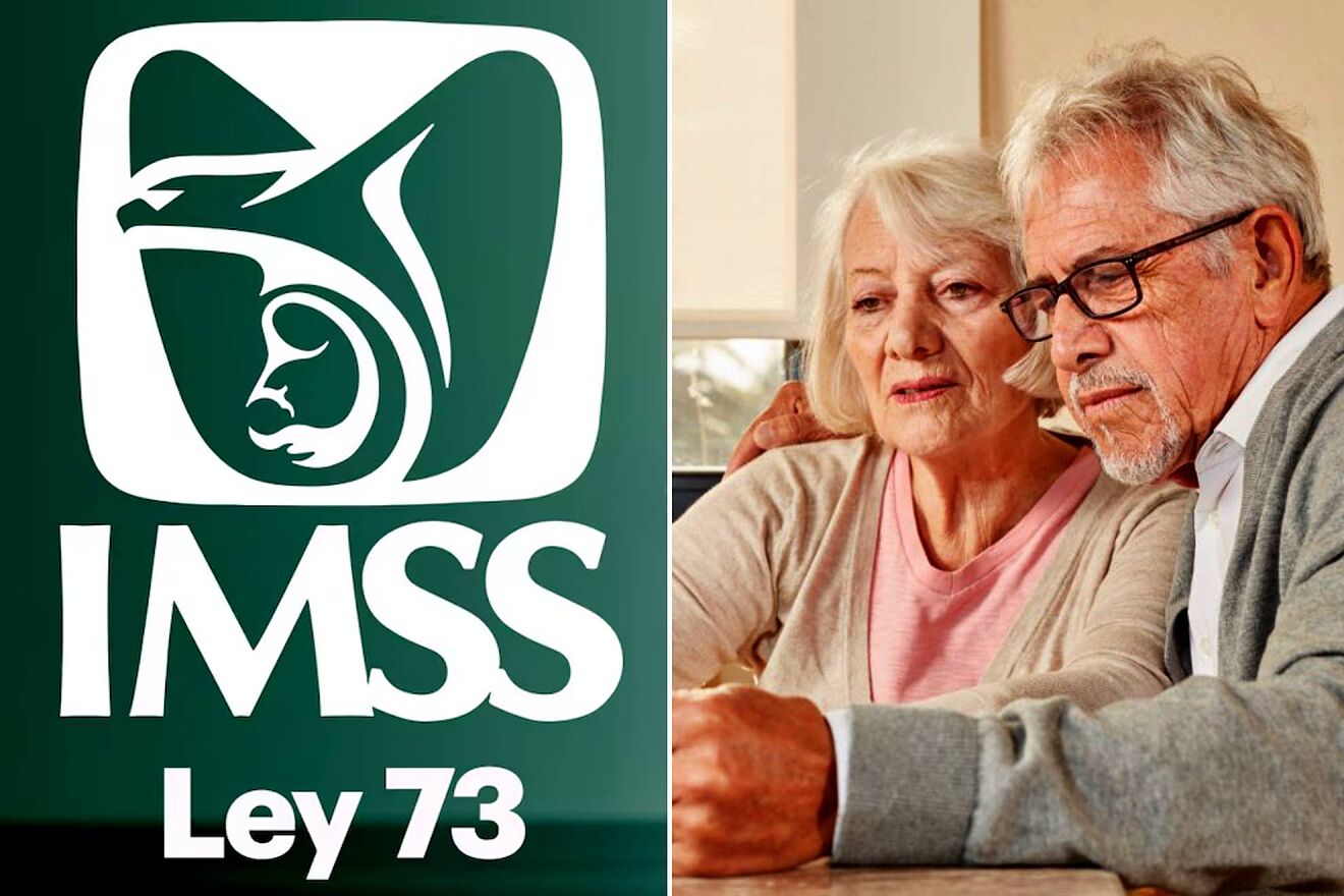 Pensi�n para los jubilados por la Ley 1973 del IMSS |