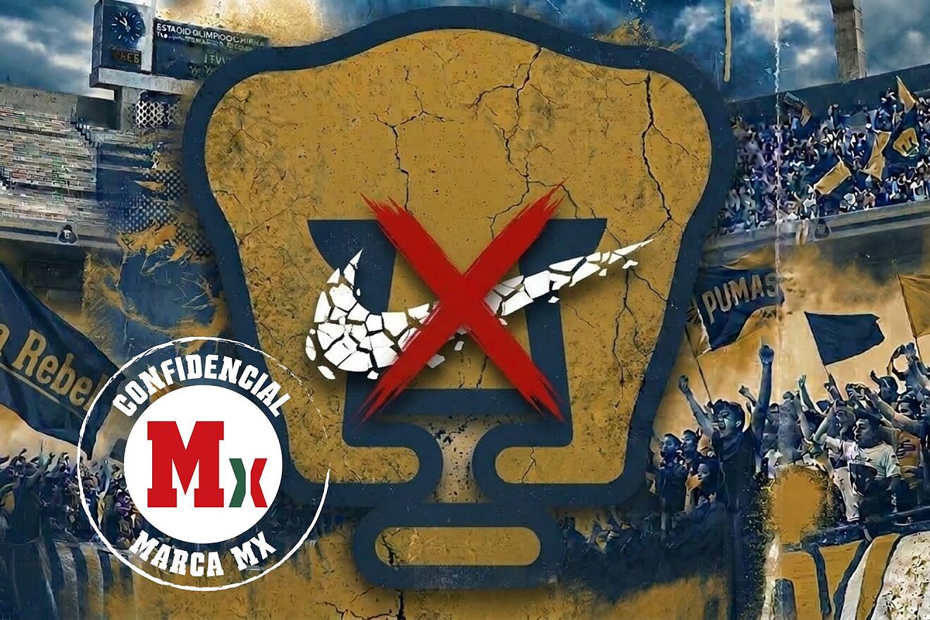 Los Felinos volverán a un viejo conocido, Puma