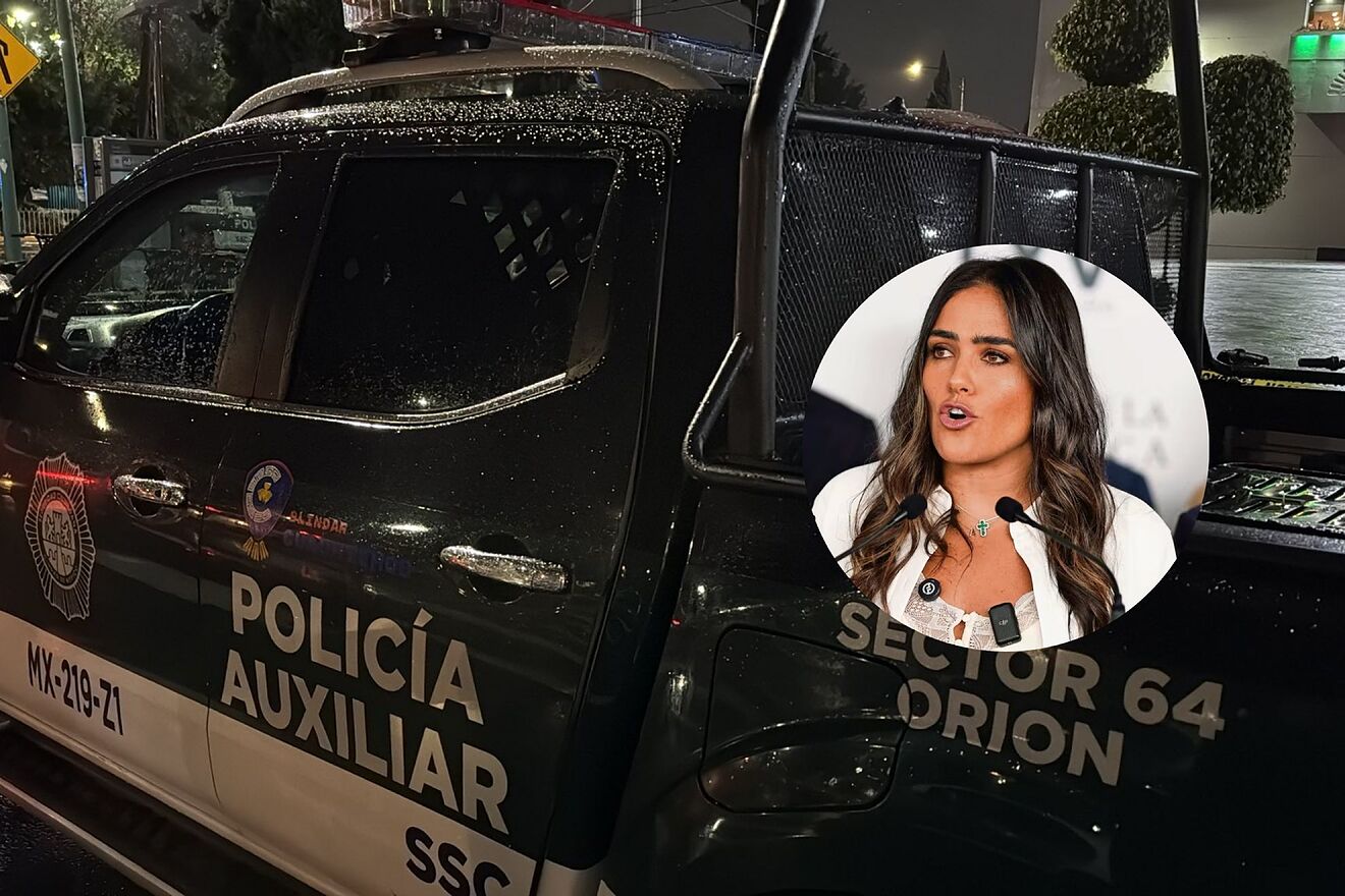 Alessandra Rojo de la Vega denunci� un nuevo ataque