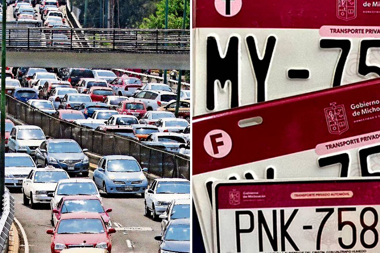 Programa de Reemplacamiento 2026 |