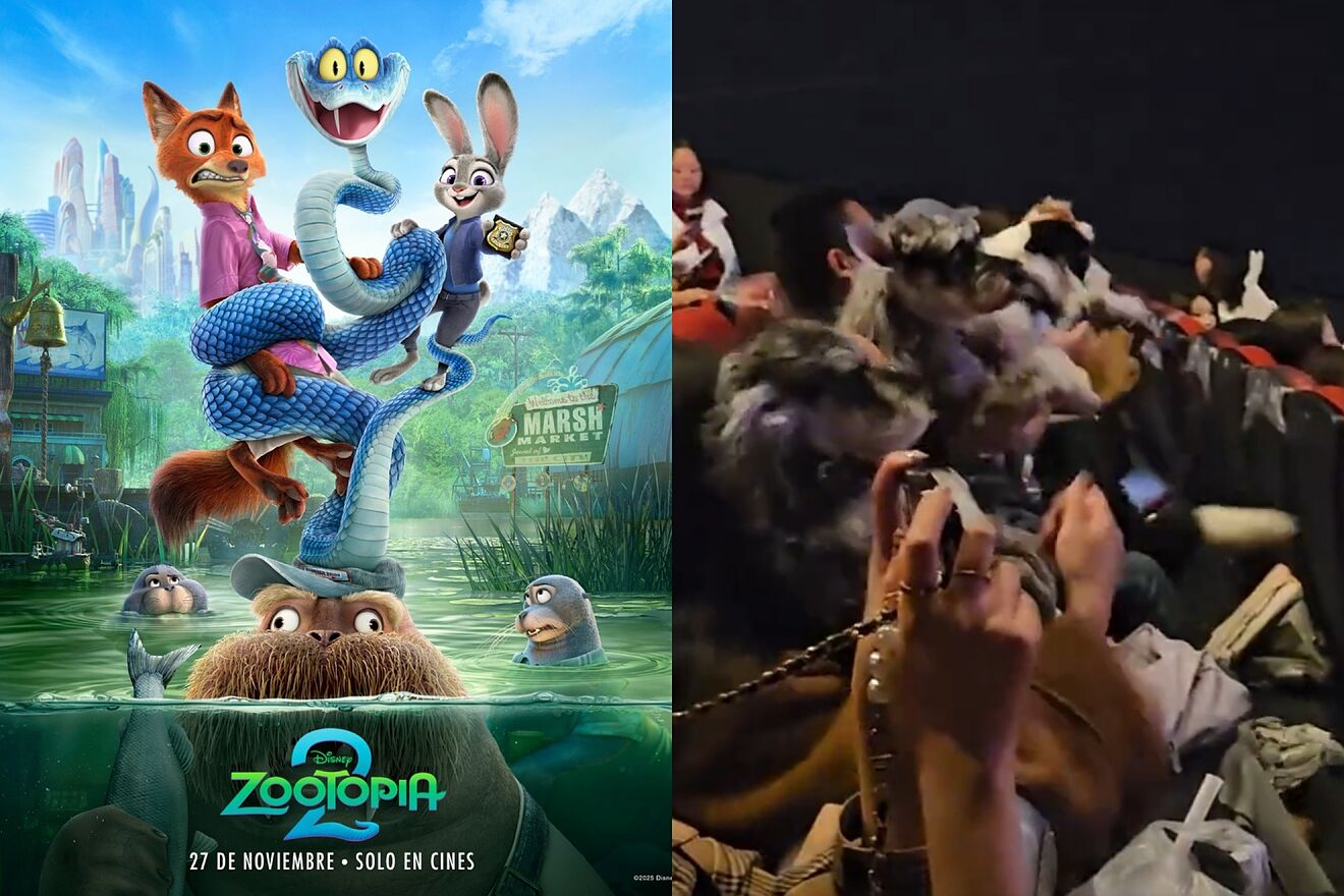 El país que permite la entrada de perros a los cines para ver Zootopia 2