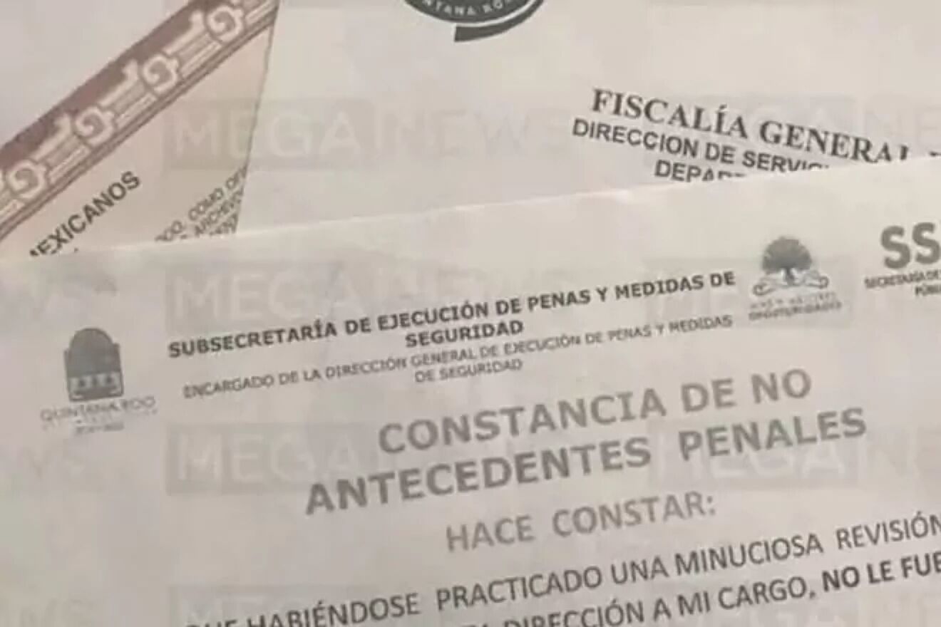 La Carta de Antecedentes No Penales es un documento que proporciona el...