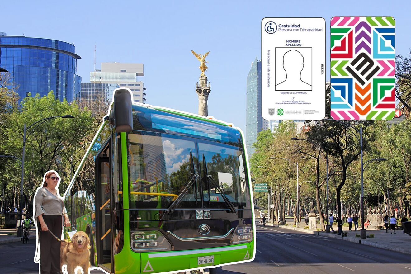�C�mo y d�nde tramitar la Tarjeta Incluyente de transporte CDMX y...
