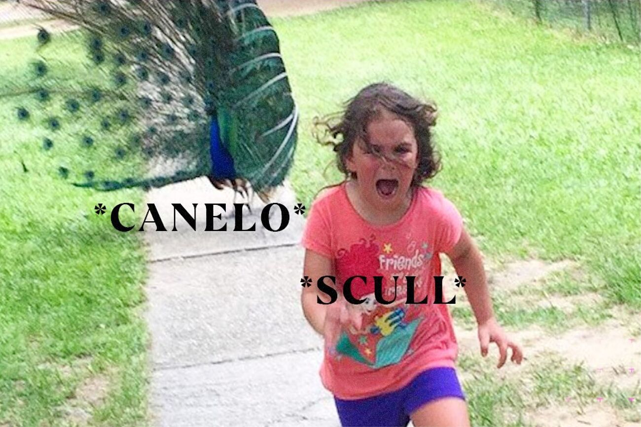 Descripci�n gr�fica de la pelea