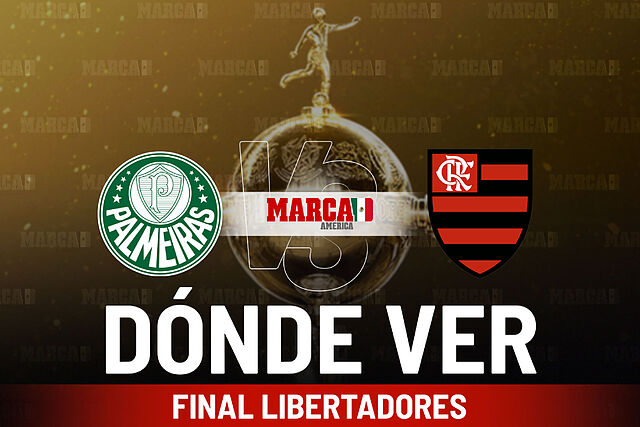 Palmeiras vs Flamengo: D�nde ver la final de la Copa Libertadores 2025, canal, horario en M�xico