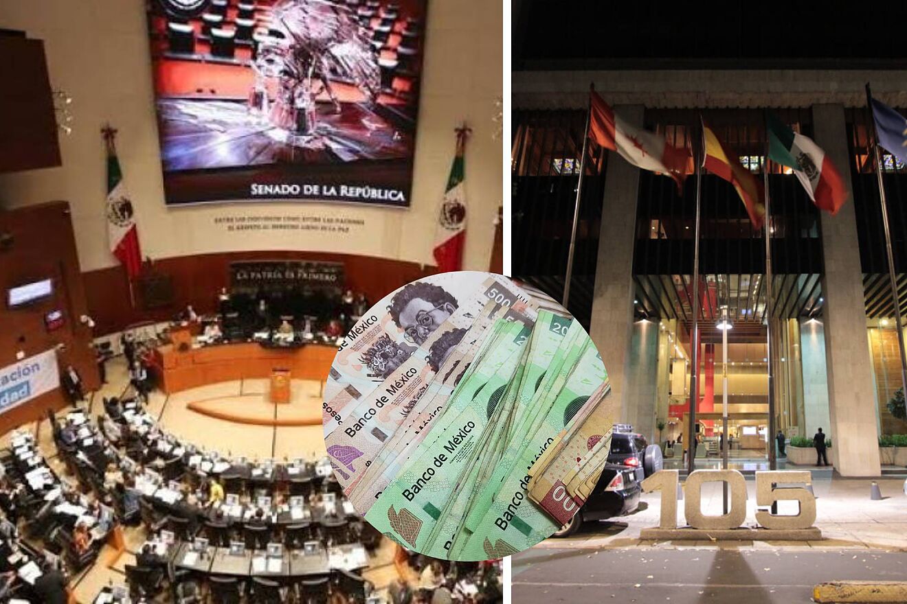 Senado de la Rep�blica gast� a causa de la Elecci�n Judicial.